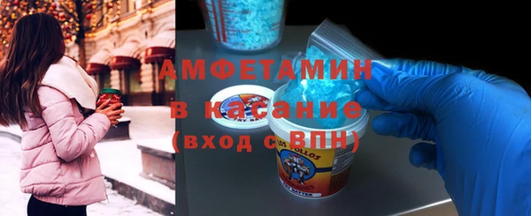 шишки Тавда