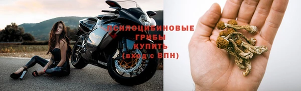 mix Тайга