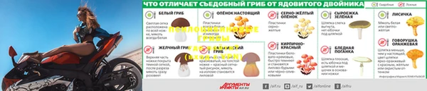 таблы Сосновка