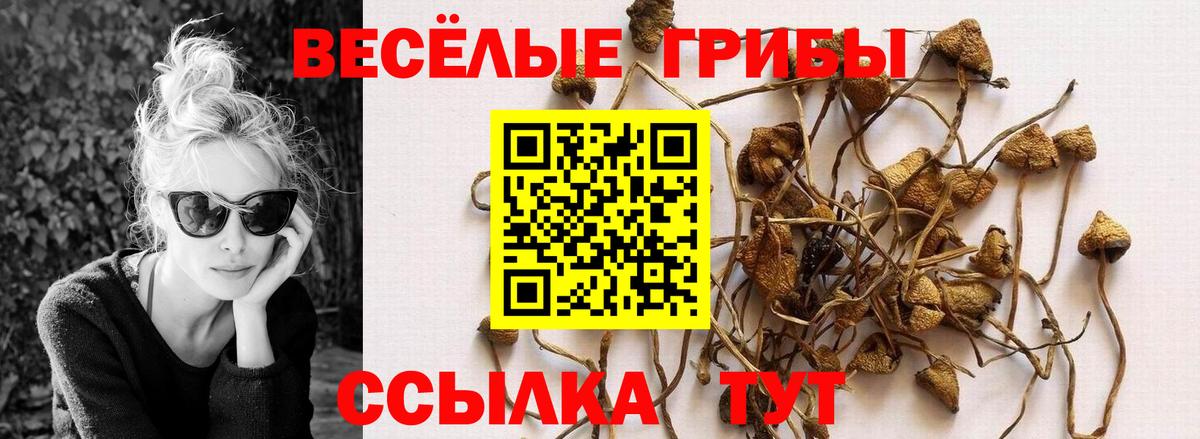 Ростов-на-Дону  Псилоцибиновые грибы прущие грибы  Вход с VPN 
