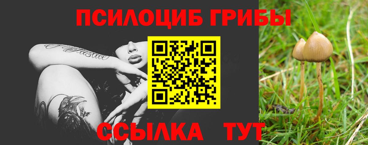 Галлюциногенные грибы GOLDEN TEACHER Ростов-на-Дону